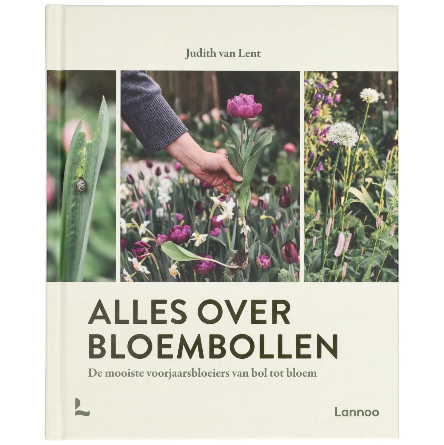 Alles over bloembollen, Judith van Lent