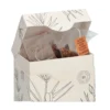Appel & kaneel, biologisch, rooibos, 15 theebuiltjes