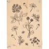 Bloemenpers, hout, 29,7 x 21 cm