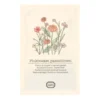 Bloemenzaden, plukboeket, pastel, 3 g