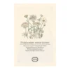 Bloemenzaden, plukboeket, wit, 3 g
