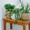 Bloempot, steengoed, wit, Ø 15 cm