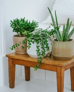 Bloempot, steengoed, wit, Ø 15 cm