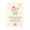 Bloemzaden, biologisch, Cosmea, 0.5 g