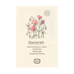 Bloemzaden, biologisch, Siererwt Lathyrus, 2 g