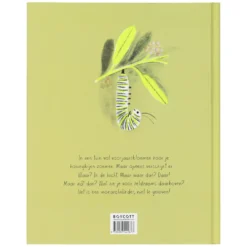 De monarchvlinder, Kirsten Hall
