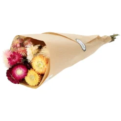 Droogbloemen, gemengd boeket, helychrisum mix
