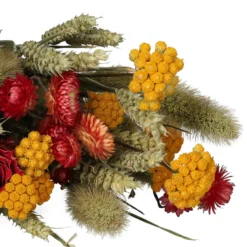 Droogbloemen, gemengd herfstboeket