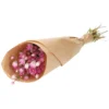 Droogbloem Rhodanthe roze