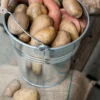 Emmer met beukenhouten handvat, zink, 6 liter