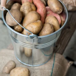 Emmer met beukenhouten handvat, zink, 6 liter