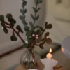 Eucalyptustak, vilt