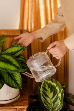 Gieter voor kamerplanten, glas, 1,5 liter