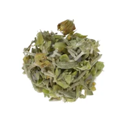 Griekse bergthee, biologisch, 15 g