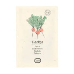 Groentezaden, biologisch, radijs, 3 g