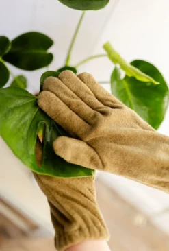 Handschoen bladreiniger, katoen, 1 maat