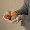 hanger, vilt, pompoen, oranje, vilt