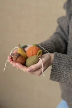 hanger, vilt, pompoen, oranje, vilt