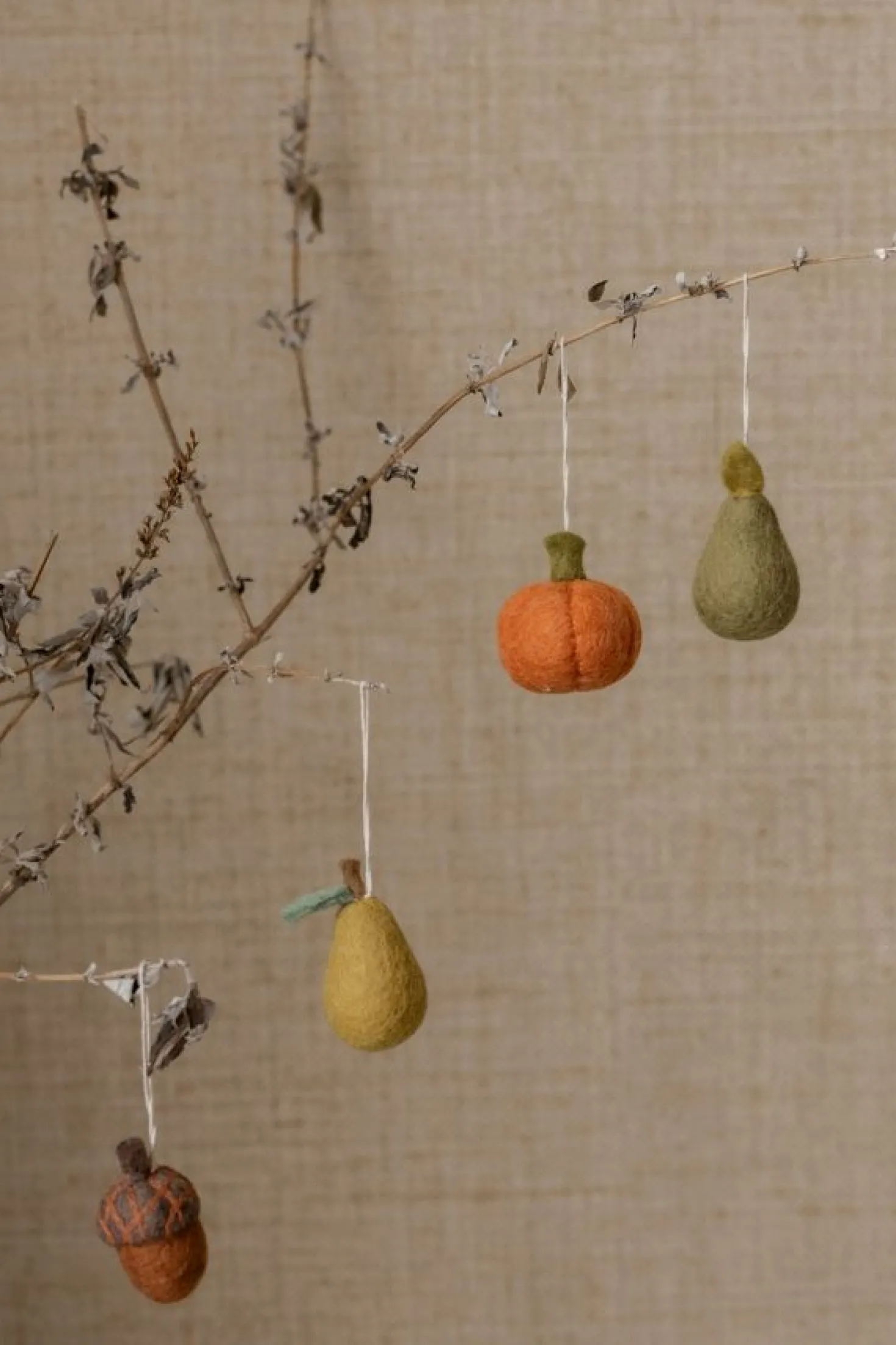 hanger, vilt, pompoen, oranje, vilt