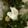 Hanger, vilt, vredesduif met ster
