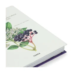 Het vlierboek, Natasja van der Meer