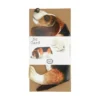 Kaart, 3D hond