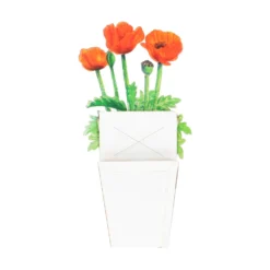 Kaart, 3d klaproos