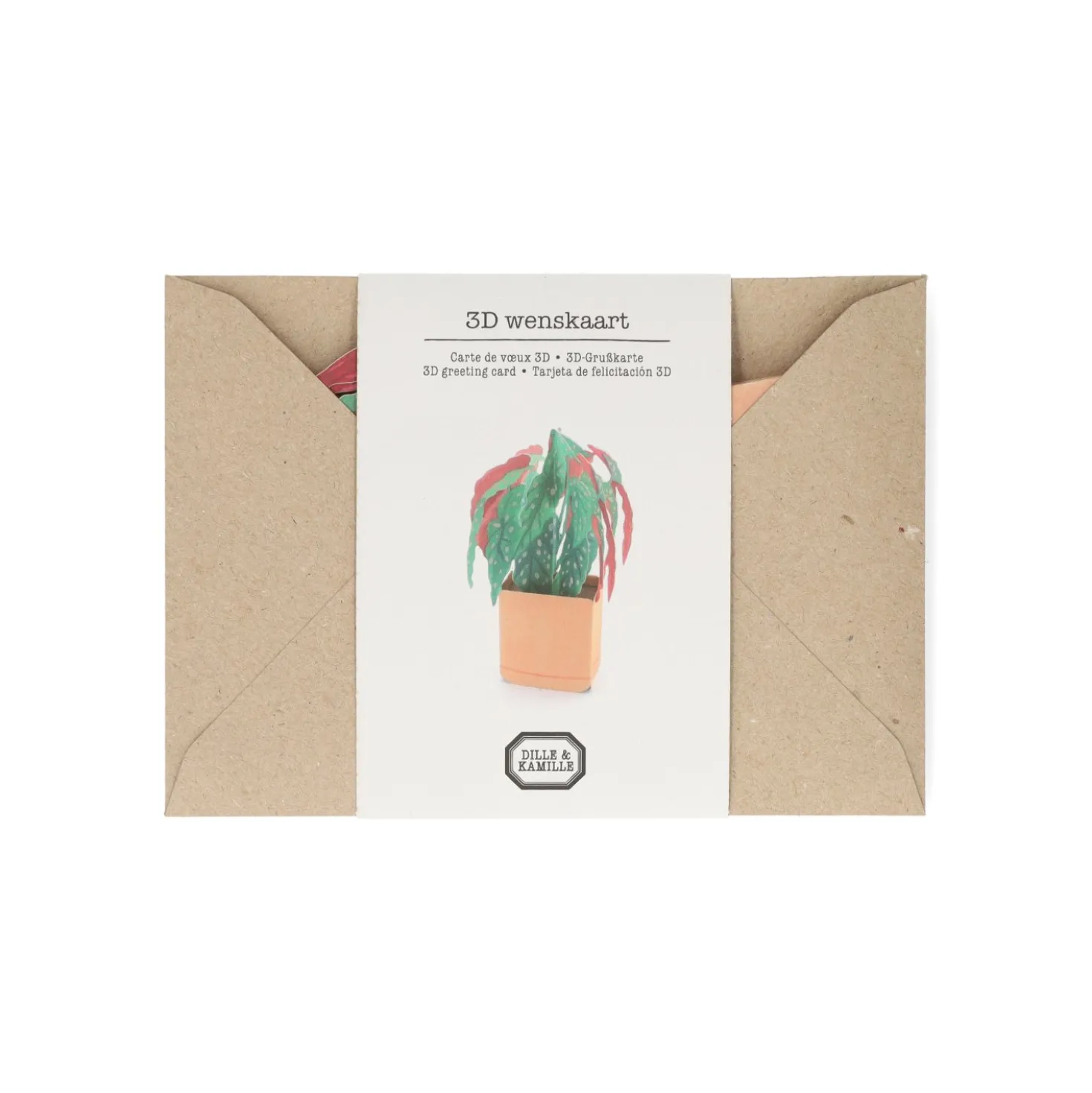 Kaart 3D met envelop, begonia
