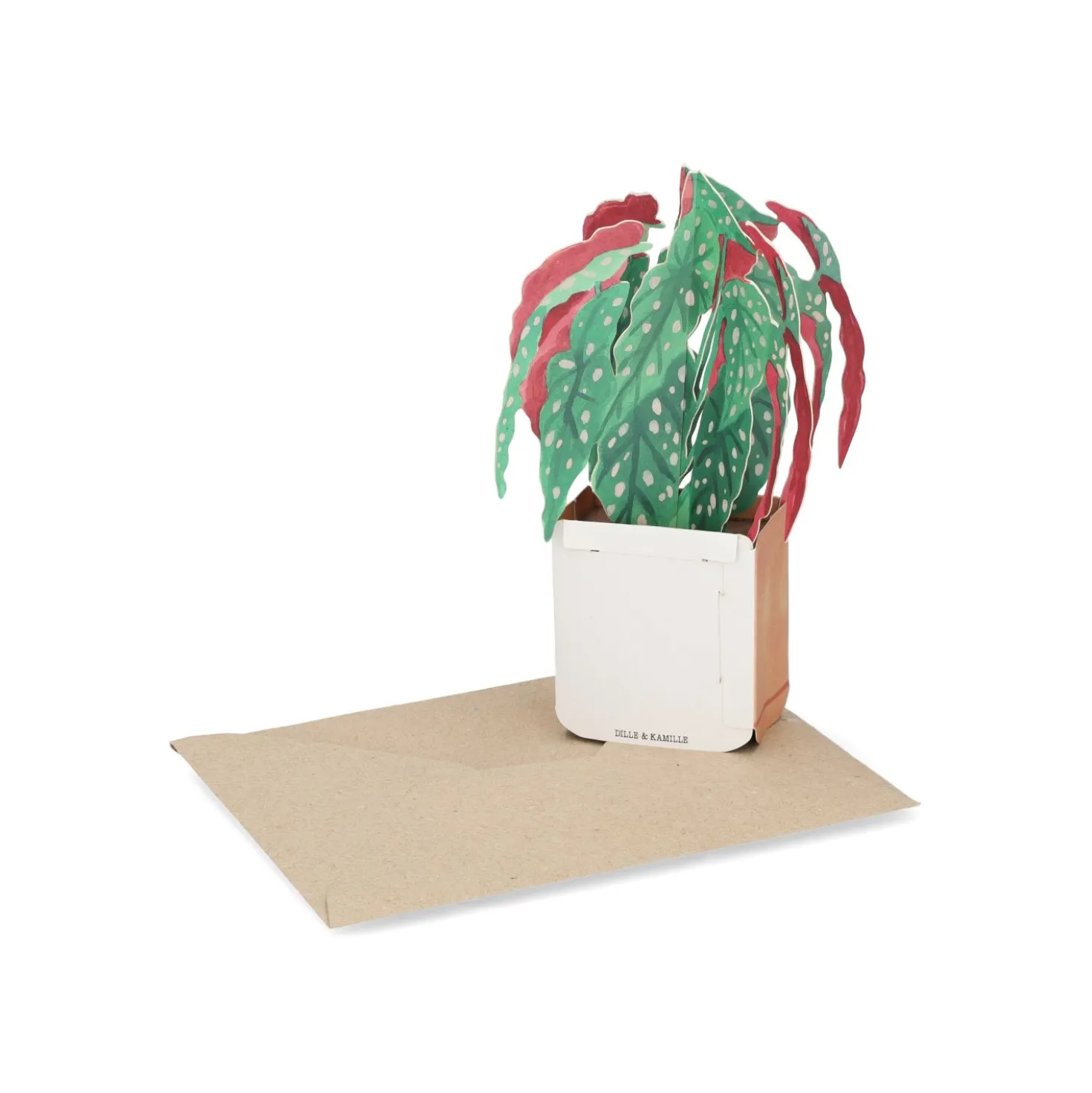 Kaart 3D met envelop, begonia