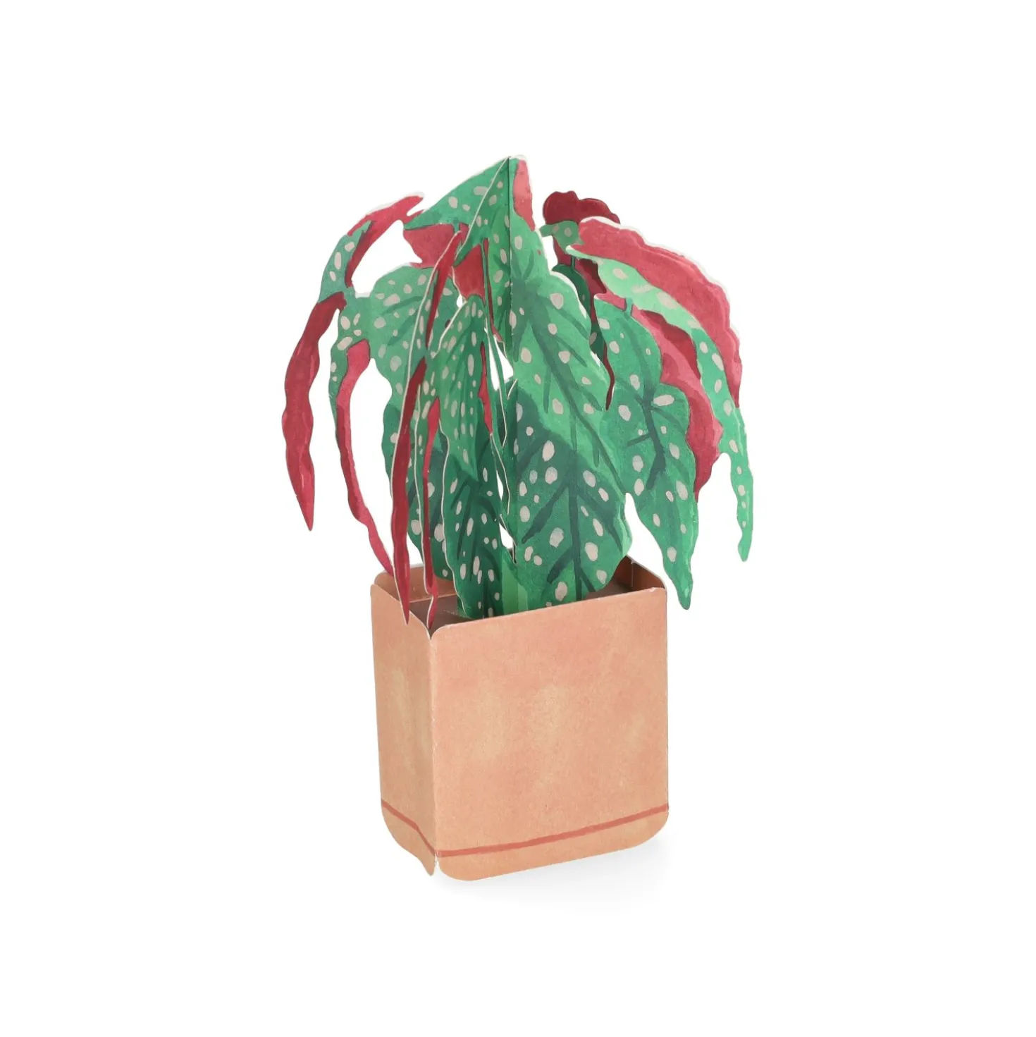 Kaart 3D met envelop, begonia
