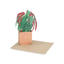Kaart 3D met envelop, begonia