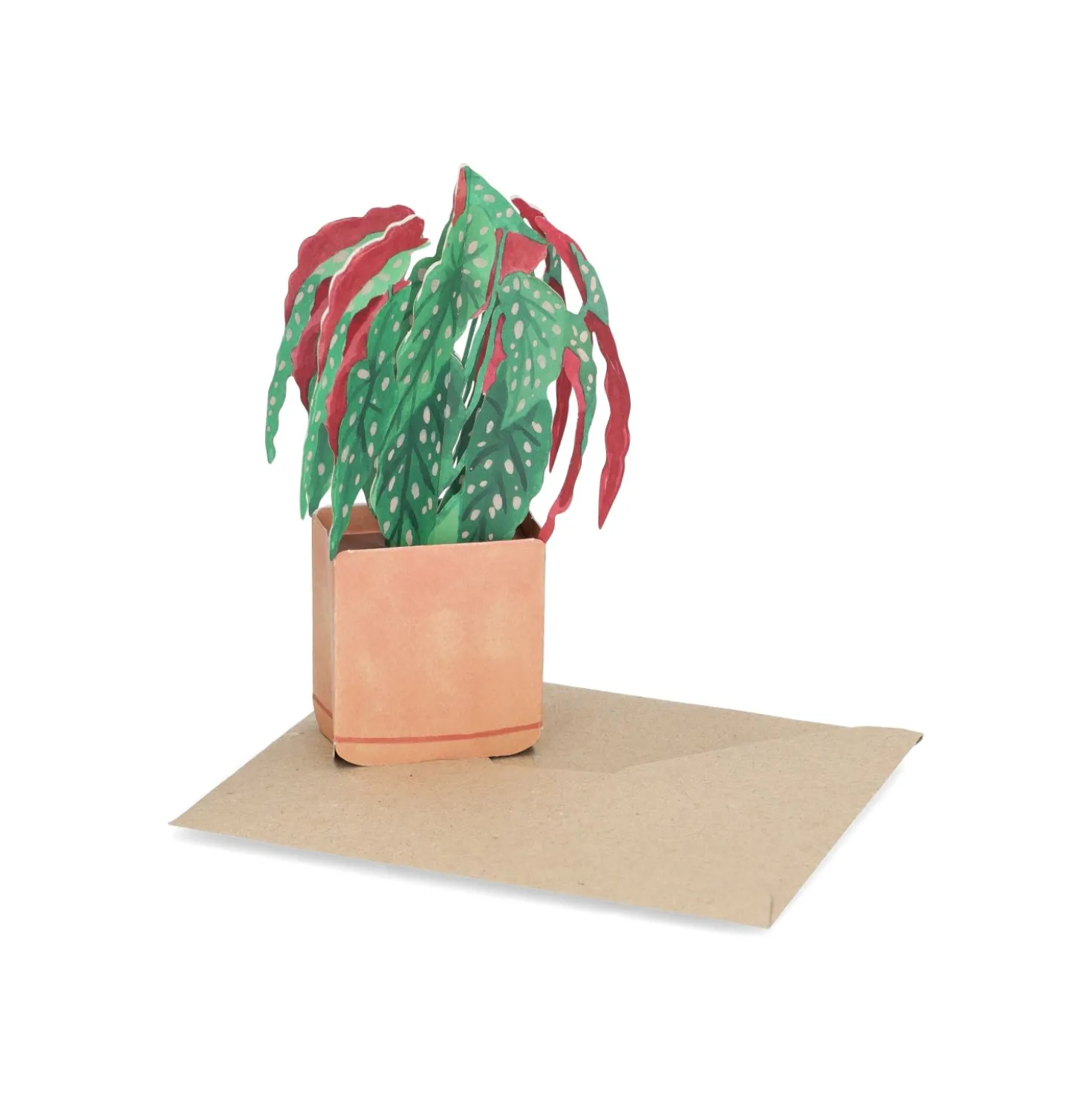 Kaart 3D met envelop, begonia