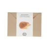 Kaart 3D met envelop, egel
