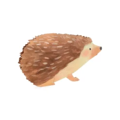 Kaart 3D met envelop, egel