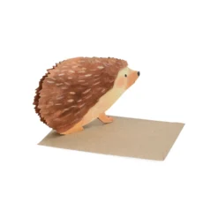 Kaart 3D met envelop, egel