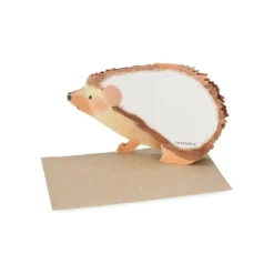 Kaart 3D met envelop, egel