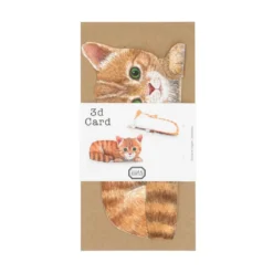 Kaart 3D met envelop, kat