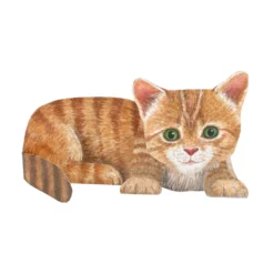 Kaart 3D met envelop, kat