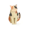 Kaart 3D met envelop, kat