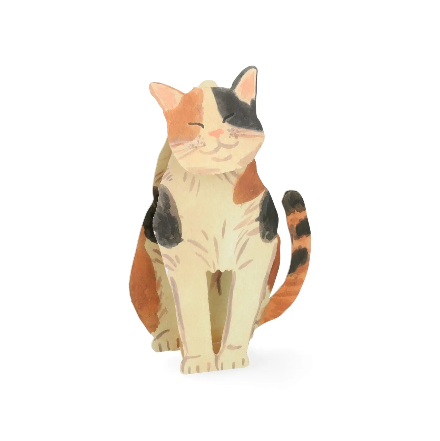 Kaart 3D met envelop, kat