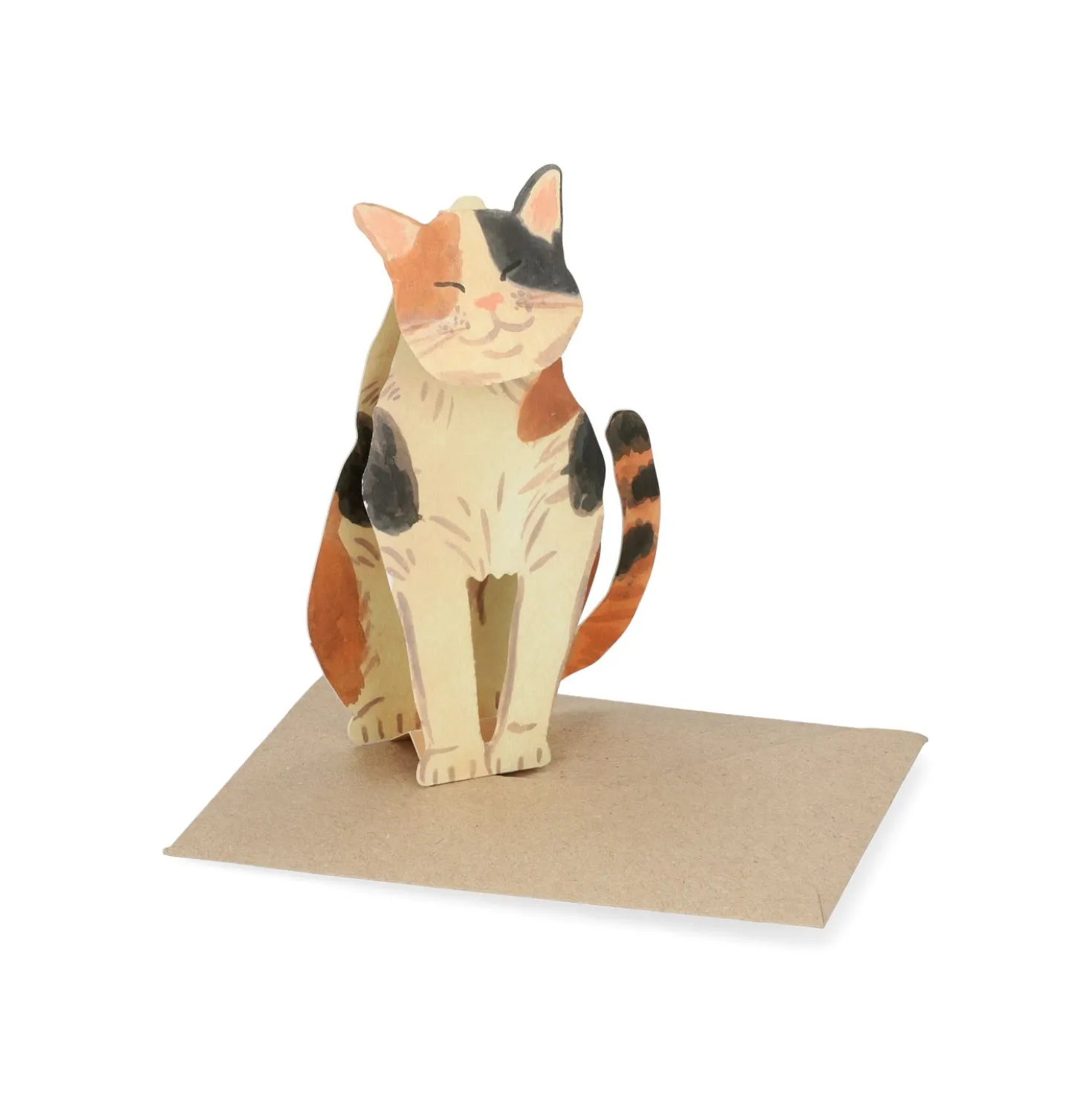 Kaart 3D met envelop, kat