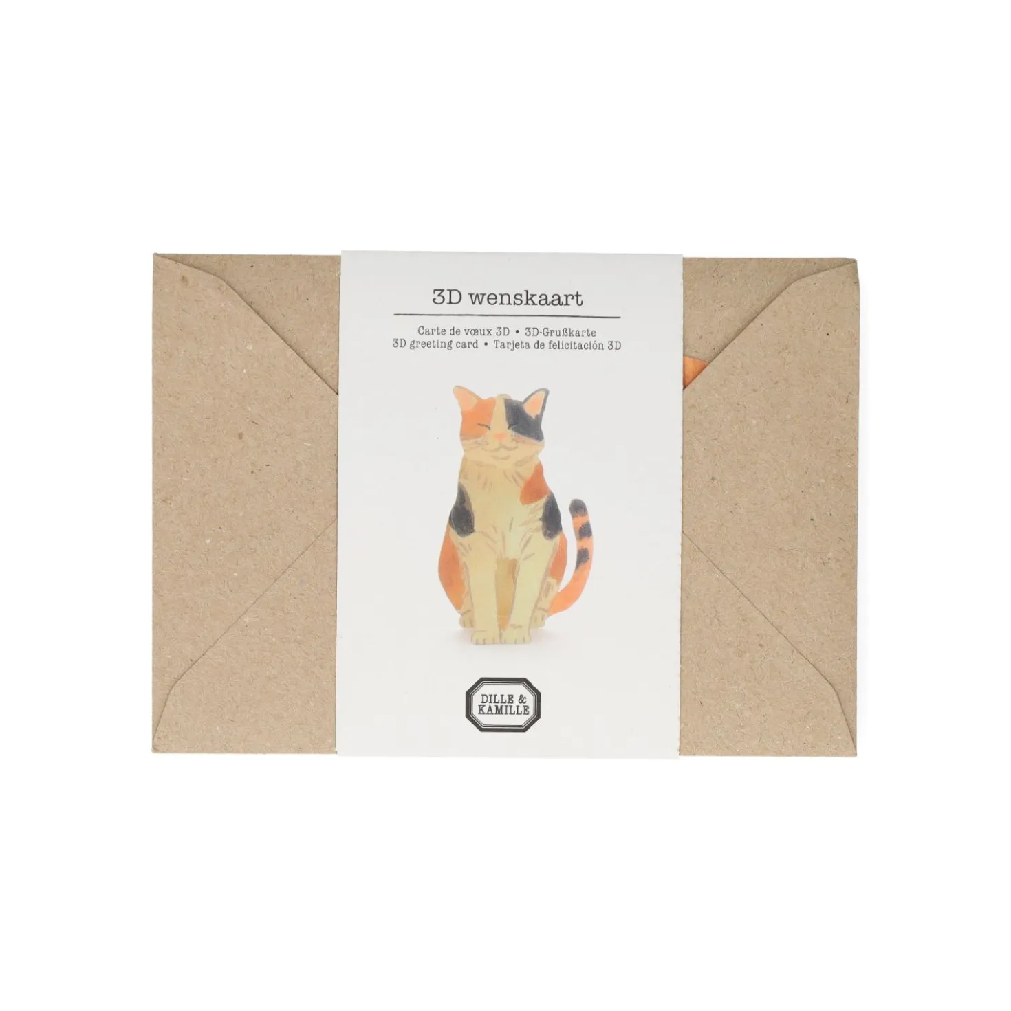 Kaart 3D met envelop, kat