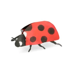 Kaart 3D met envelop, lieveheersbeestje