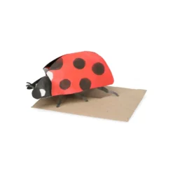 Kaart 3D met envelop, lieveheersbeestje