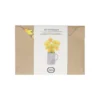 Kaart 3D met envelop, narcissen