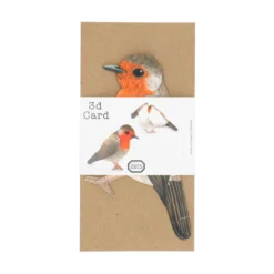 Kaart 3D met envelop, roodborstje