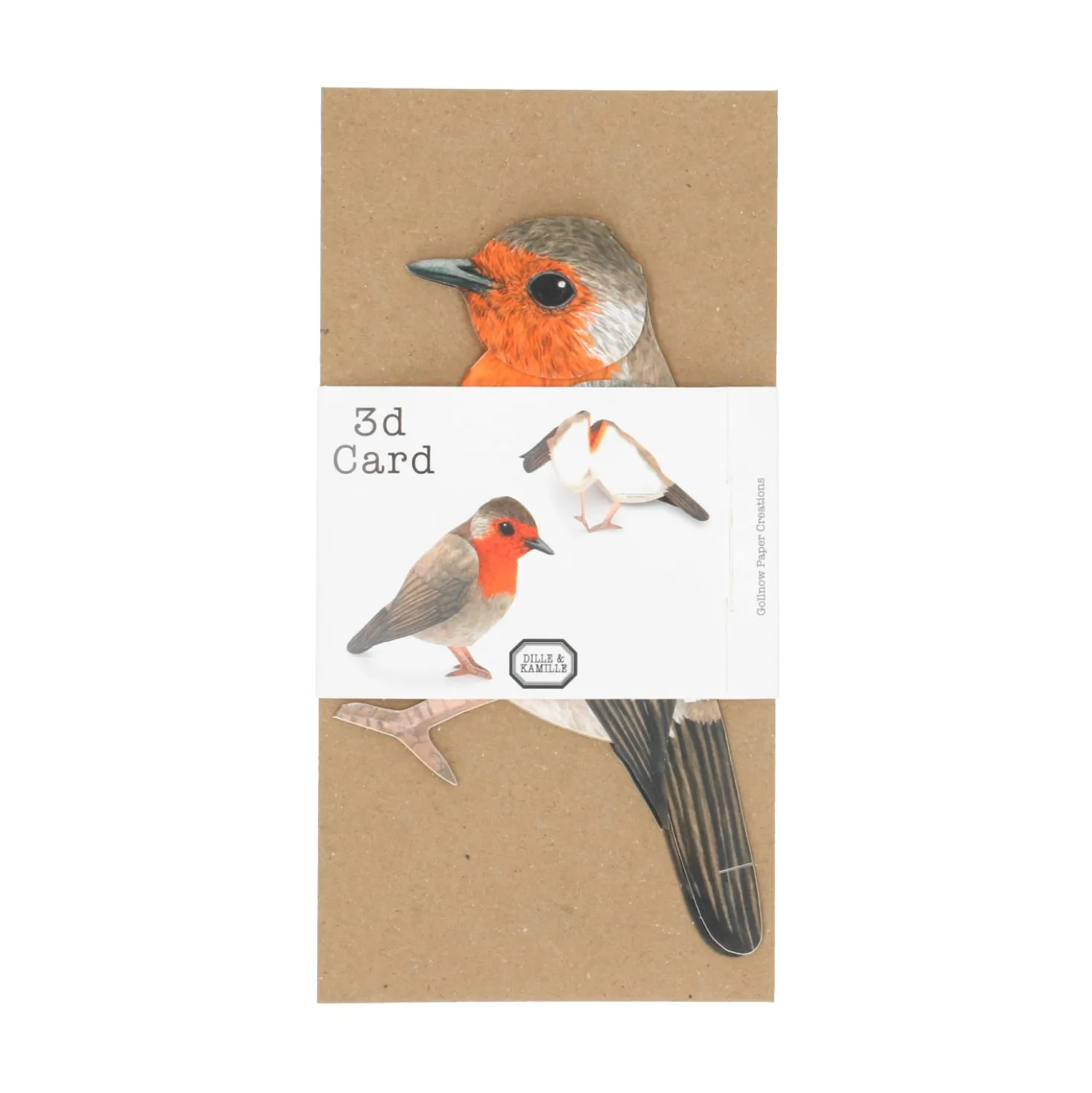 Kaart 3D met envelop, roodborstje