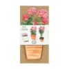 Kaart 3D met envelop, rozen