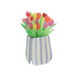 Kaart 3D met envelop, tulpen