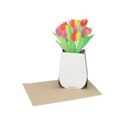 Kaart 3D met envelop, tulpen